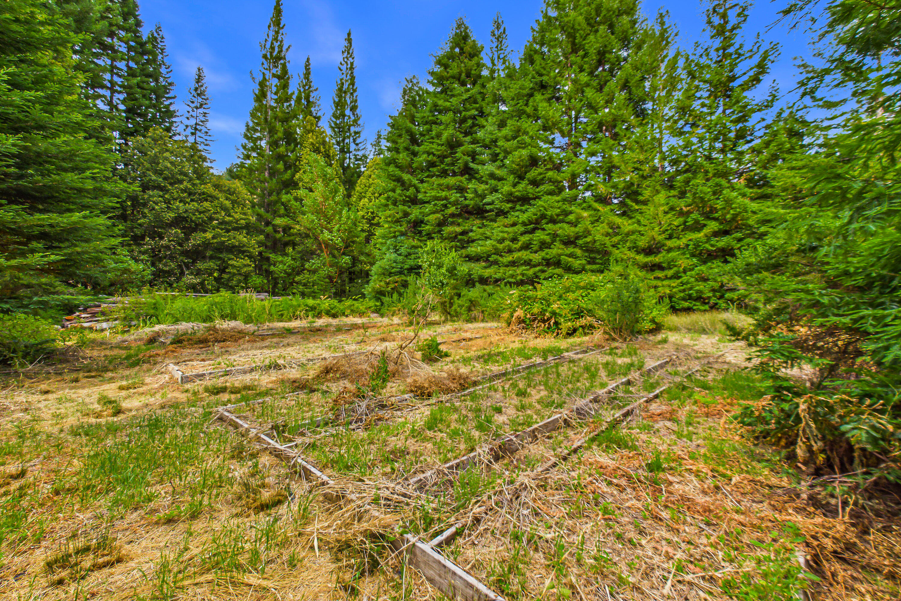 1005 Twin Trees Road Garberville, CA 95542 - Photo 75 of 84