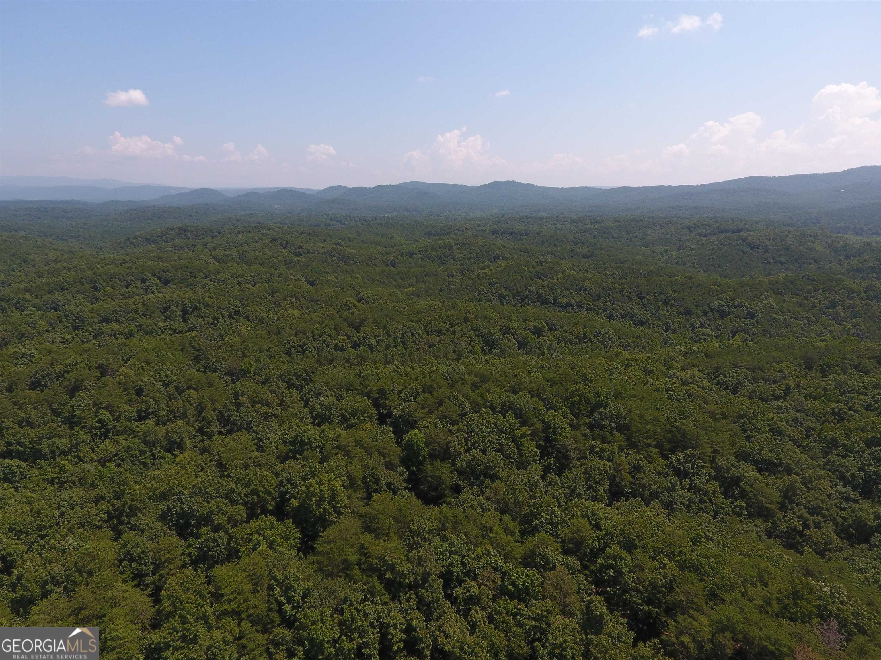 0 Pack Road Northeast, Unit 9628E Ranger, GA 30734 - Photo 11 of 38 a view of outdoor space and mountain view