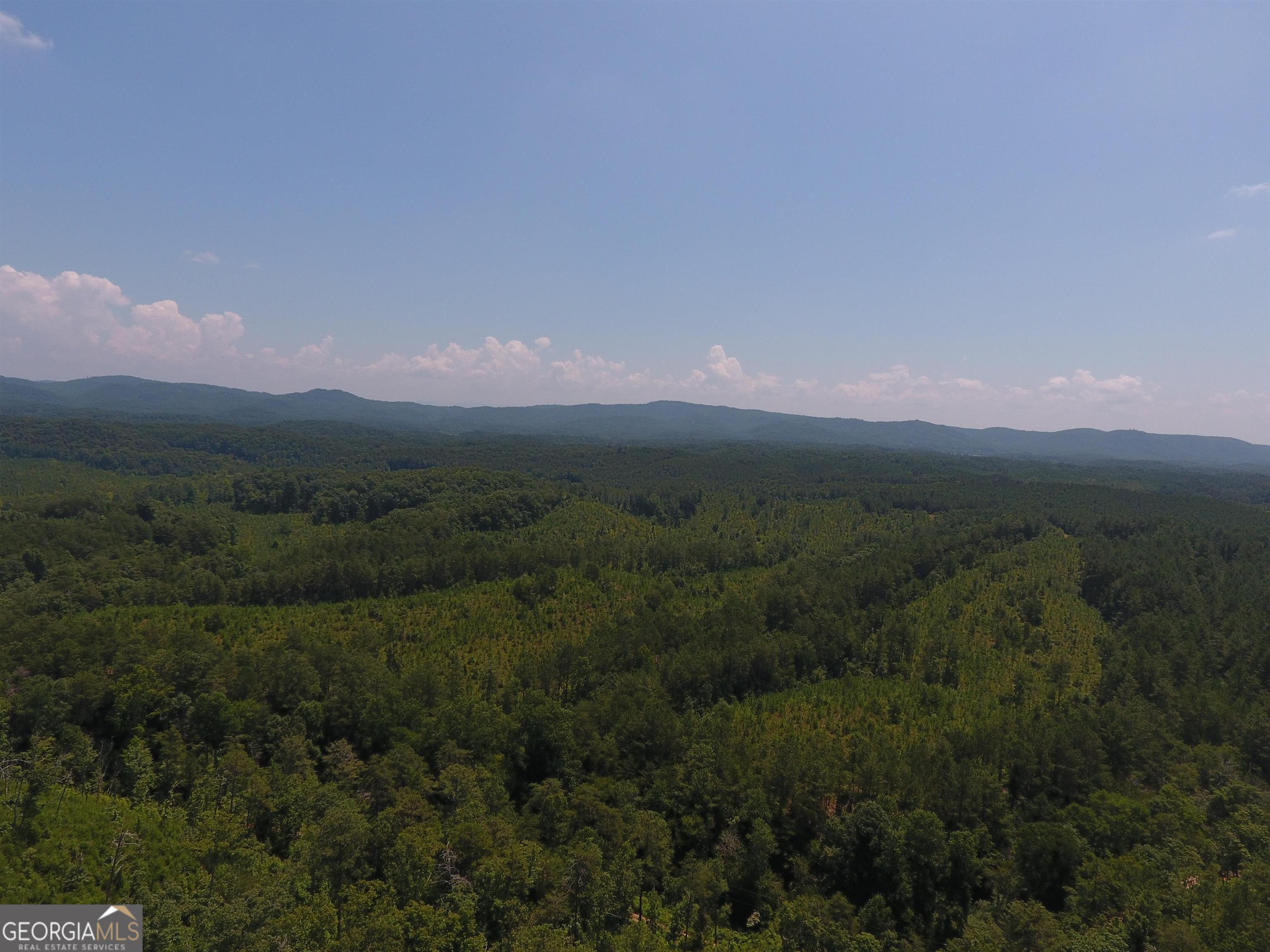 0 Pack Road Northeast, Unit 9628E Ranger, GA 30734 - Photo 19 of 38 a view of a city with lush green forest