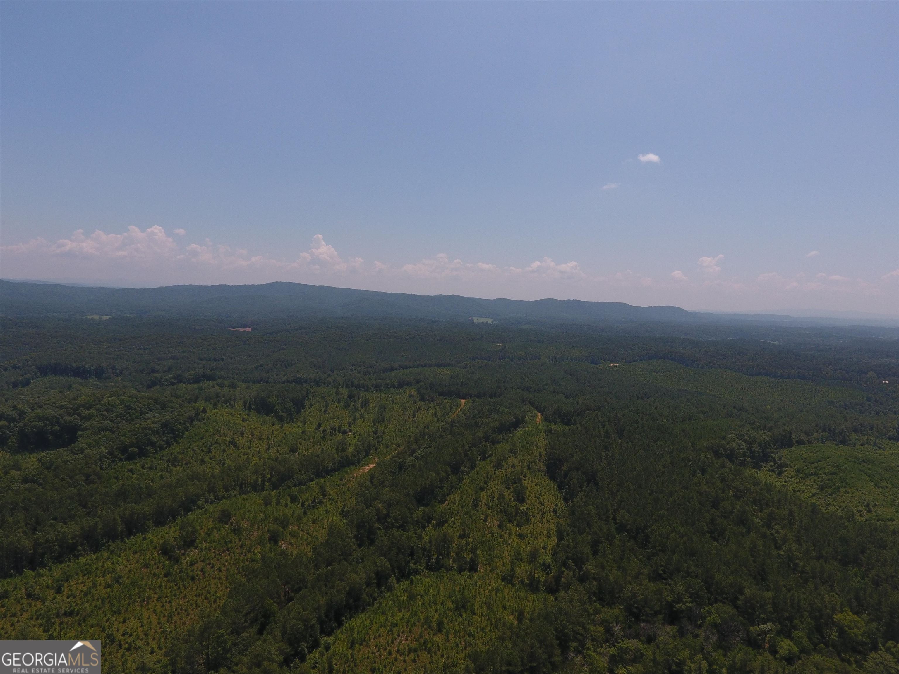 0 Pack Road Northeast, Unit 9628E Ranger, GA 30734 - Photo 28 of 38 a view of a lake in middle of forest