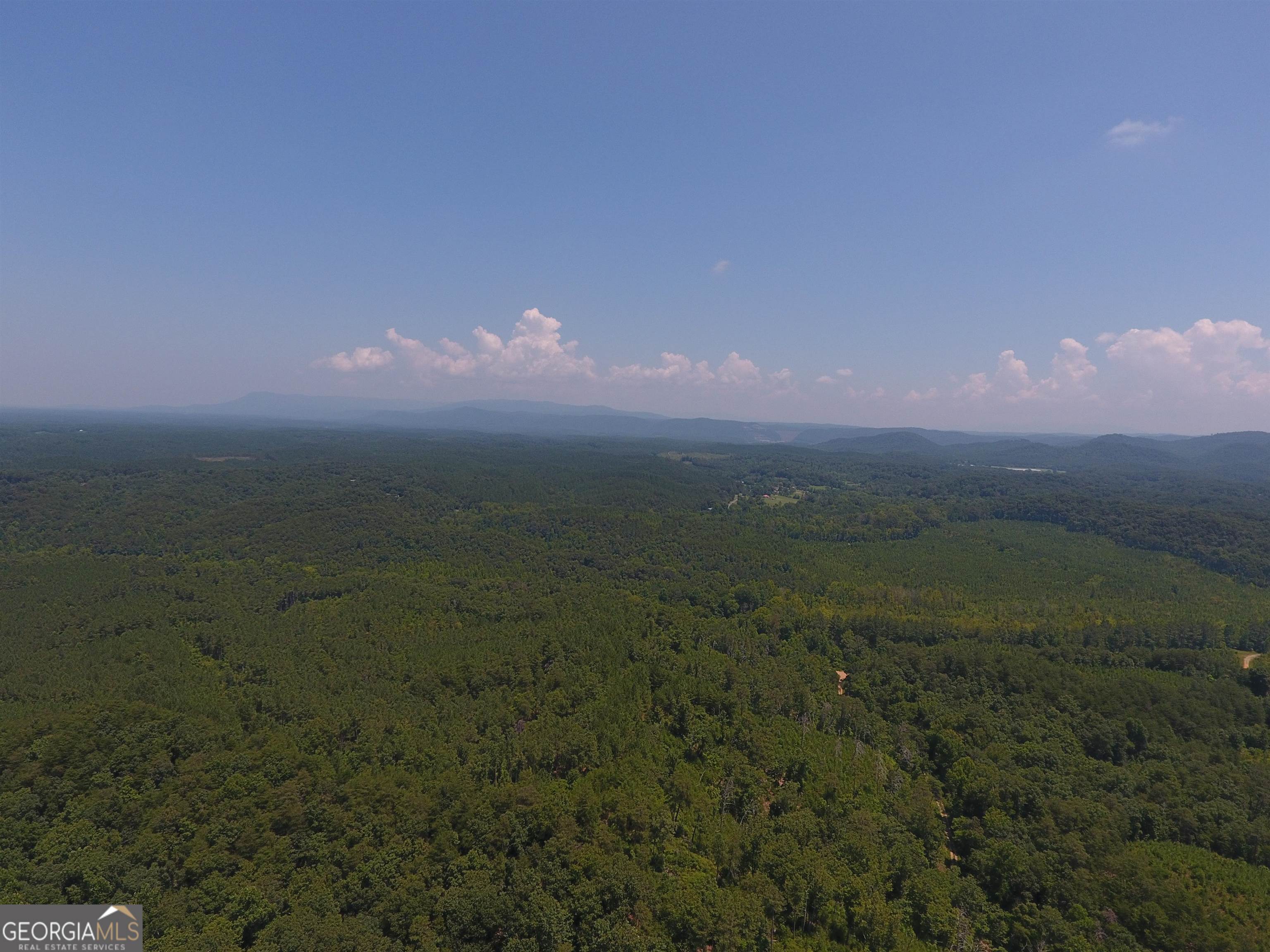 0 Pack Road Northeast, Unit 9628E Ranger, GA 30734 - Photo 31 of 38 a view of a lake in middle of forest