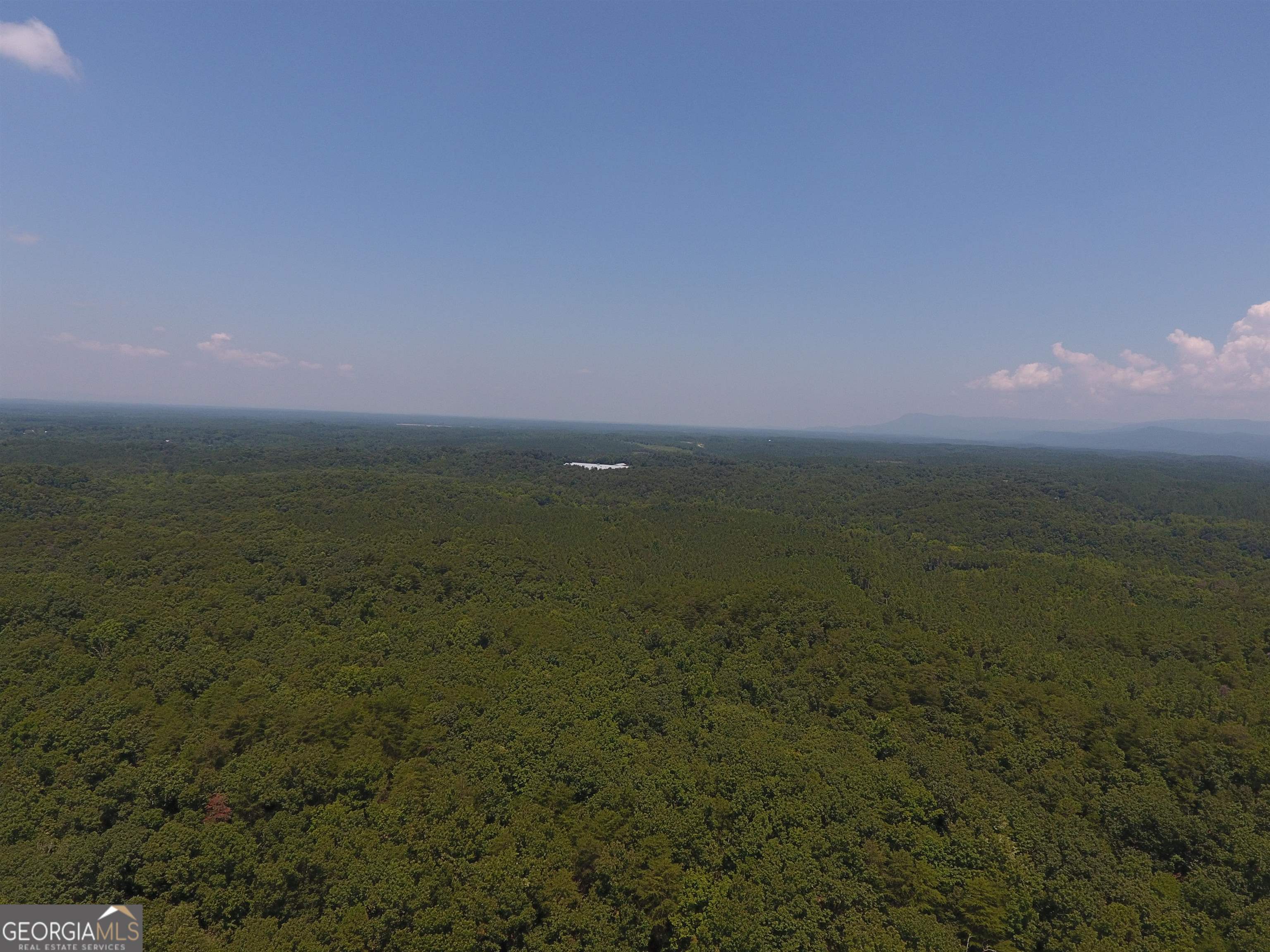 0 Pack Road Northeast, Unit 9628E Ranger, GA 30734 - Photo 33 of 38 a view of an ocean