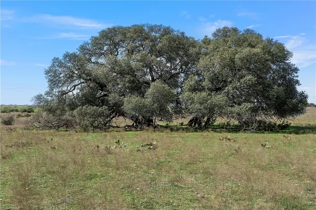 $1,327,095 | Tbd Tract 2-126.39 Acres Tbd Tract 2-126.39 Acres Dan Morgan Road, China Spring, TX 76633