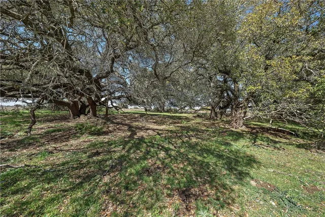 $1,327,095 | Tbd Tract 2-126.39 Acres Tbd Tract 2-126.39 Acres Dan Morgan Road, China Spring, TX 76633