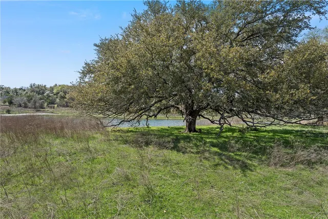 $1,327,095 | Tbd Tract 2-126.39 Acres Tbd Tract 2-126.39 Acres Dan Morgan Road, China Spring, TX 76633