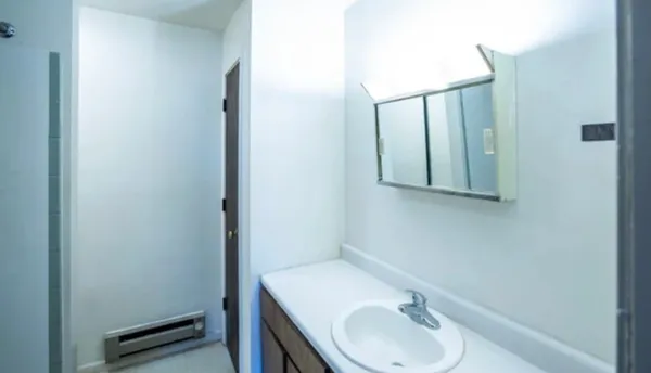 a bathroom with a sink and a mirror