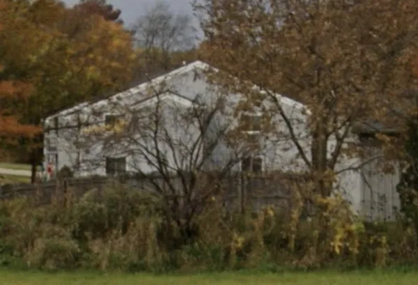 a view of a yard
