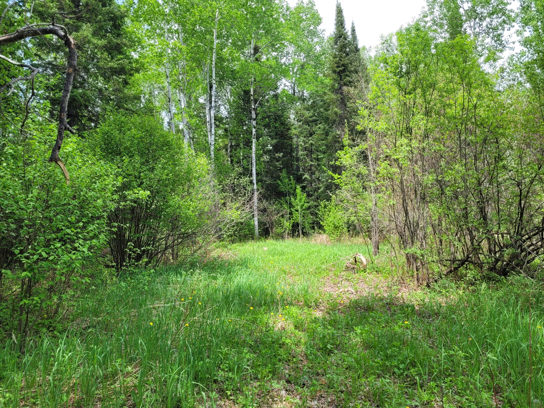 68401 County Road 547 Cook, MN 55723 - Photo 26 of 29