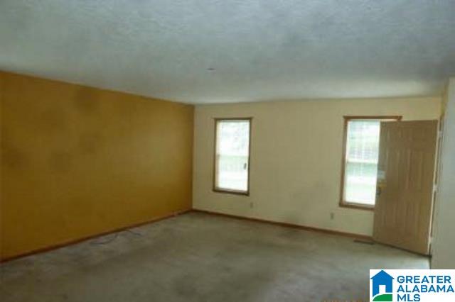 141 Cliffsedge Drive Roanoke, AL 36274 - Photo 11 of 13
