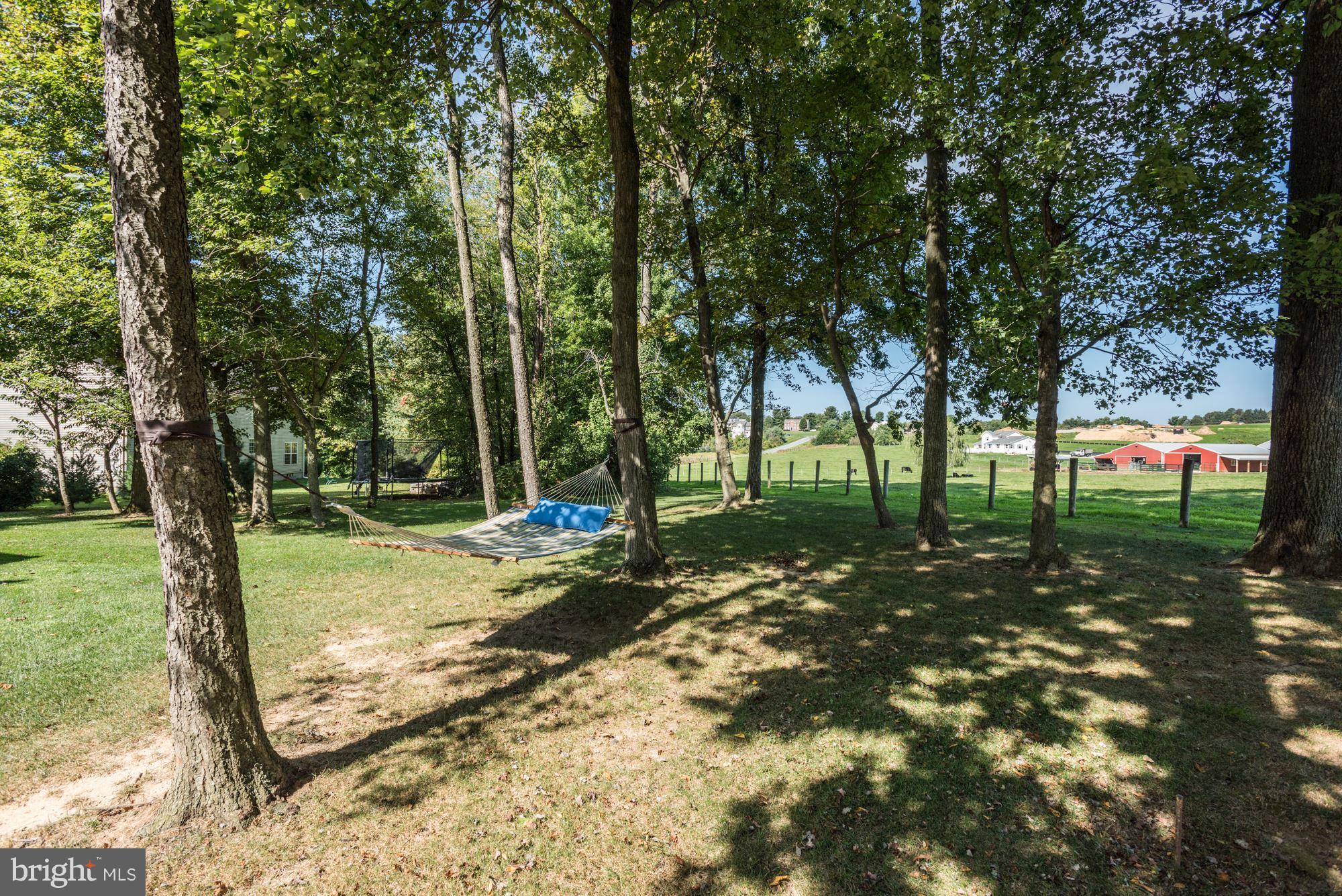 3842 Devonshire Road Hampstead, MD 21074 - Photo 29 of 30 trees and view