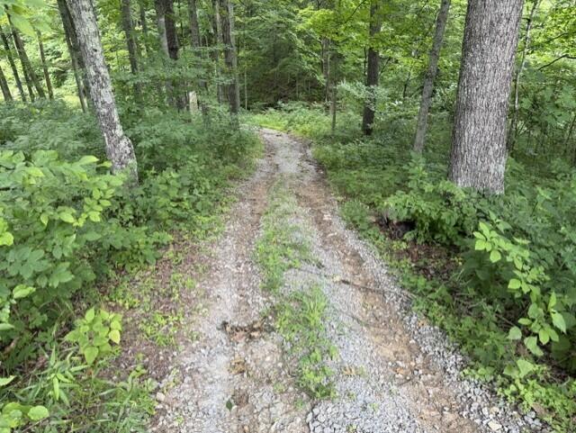 0 Kelly Ridge Road Irvine, KY 40336 - Photo 35 of 39 10