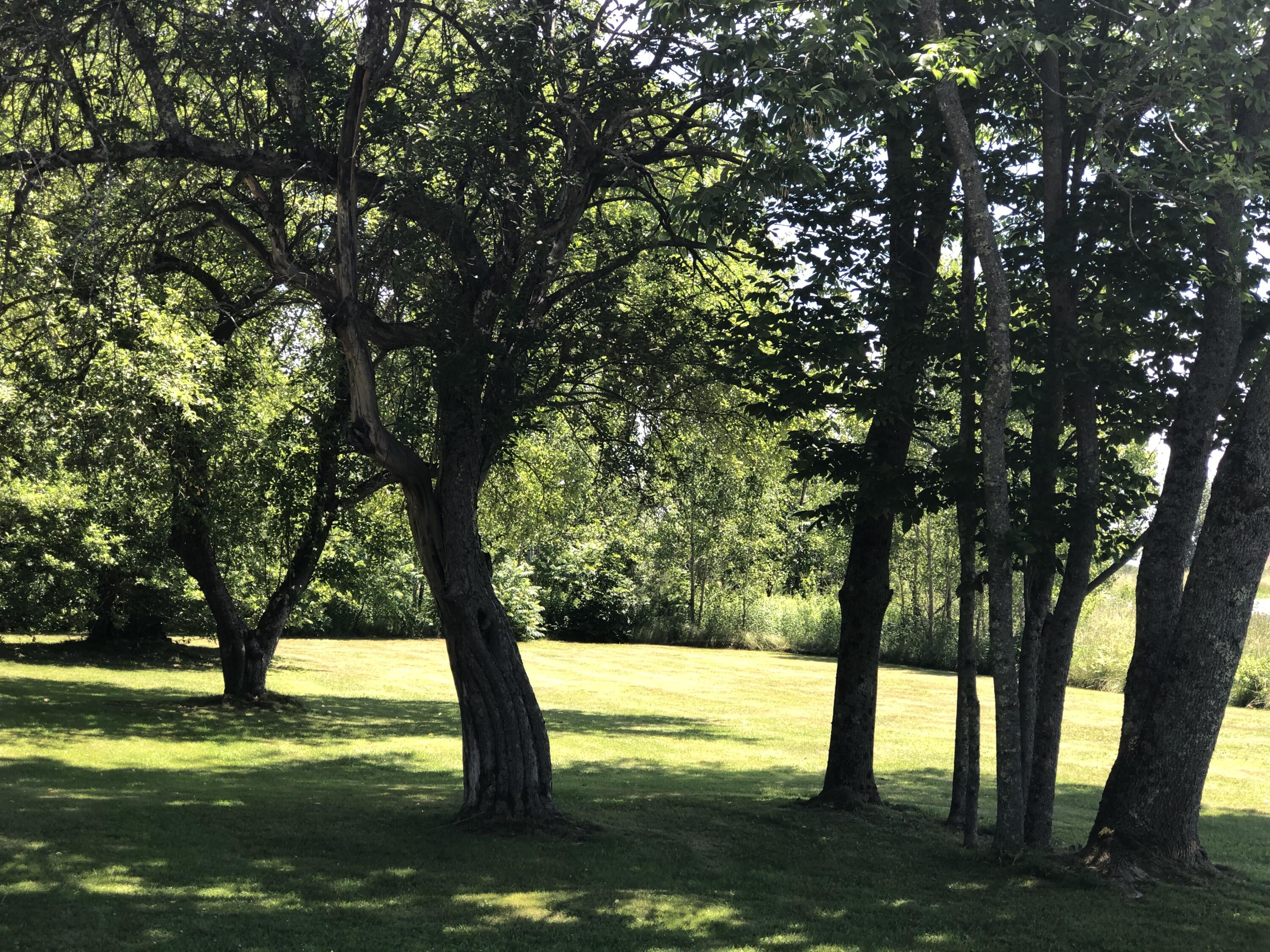 102 Stirling Road Warren, ME 04864 - Photo 129 of 145 yard