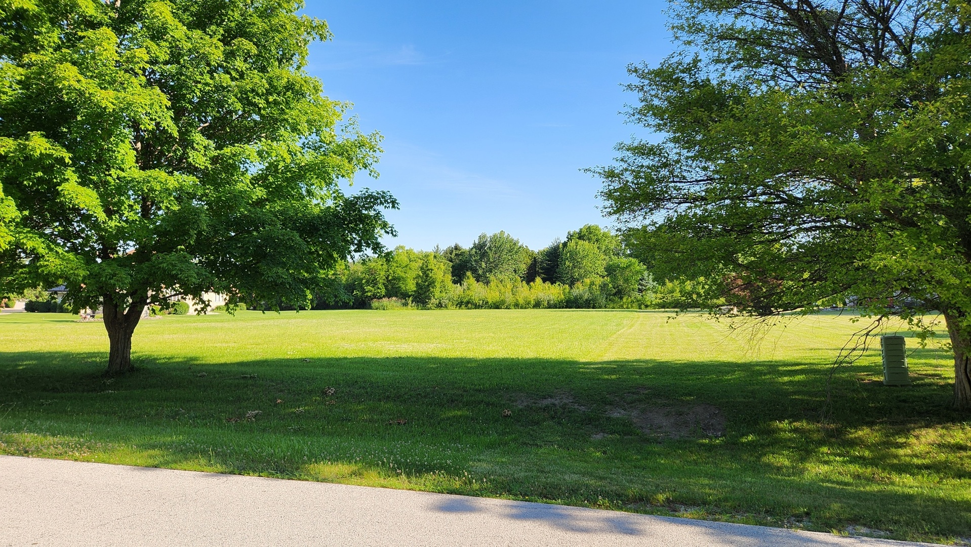 2732 East Ridgefield Drive Crete, IL 60417 - Photo 2 of 5