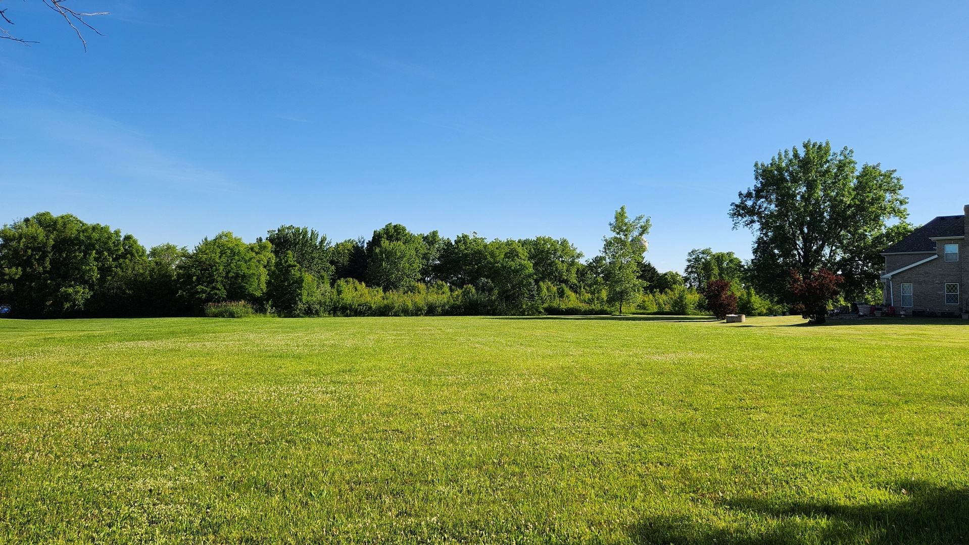 2732 East Ridgefield Drive Crete, IL 60417 - Photo 3 of 5