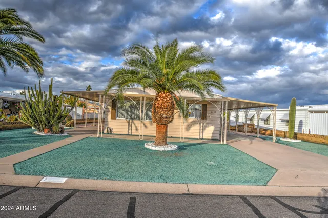 a view of a yard with a fountain