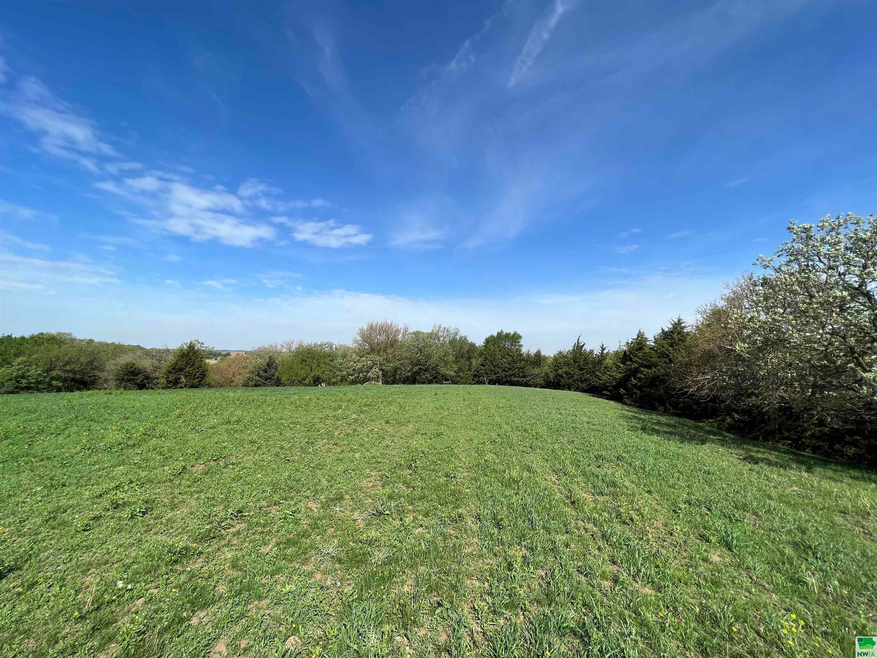 10501 Pecan Avenue Mapleton, IA 51034 - Photo 22 of 29 Gallery Image 22
