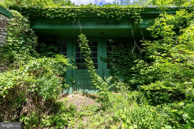 a view of a garden with a lake
