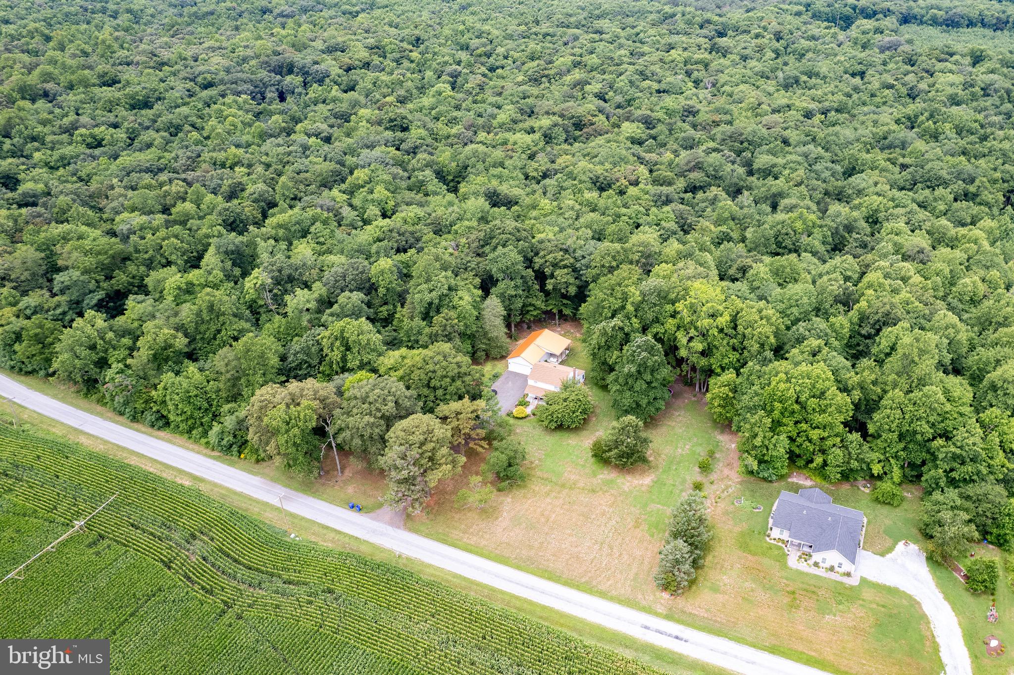 10348 Memory Road Harrington, DE 19952 - Photo 21 of 56