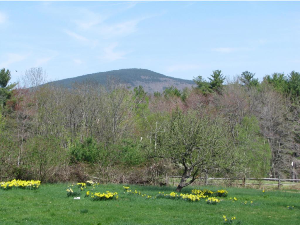 387 Sand Hill Road Peterborough, NH 03458 - Photo 3 of 4 Gallery Image 3