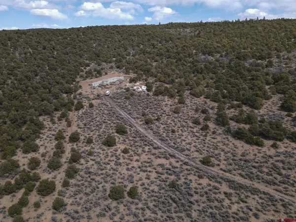 a view of a dry yard