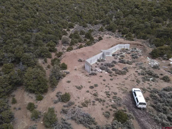 a view of a dry space with lots of trees