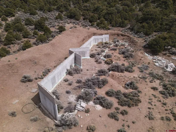 a view of a dry yard with lots of trees