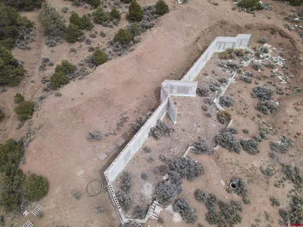 a view of a dry yard with trees