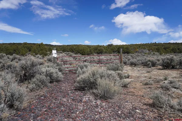 a view of a dry yard
