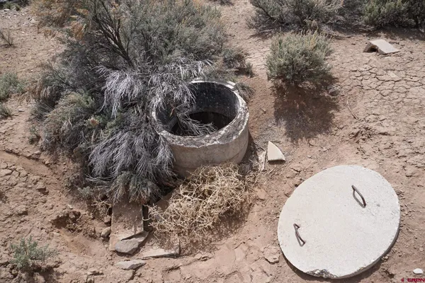 a view of a bird bath