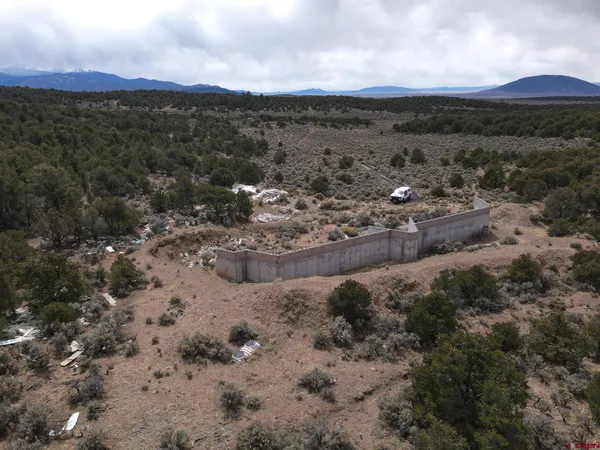 a view of a dry yard with lots of trees