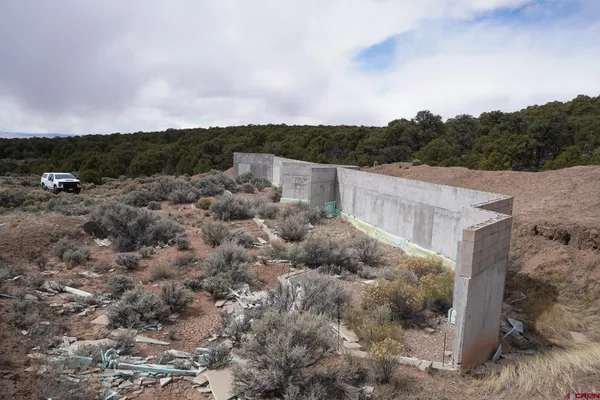 a view of a forest with a street