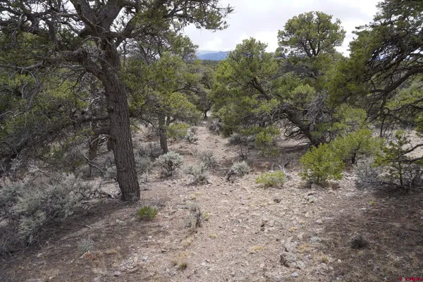 a view of a dry yard with mountain