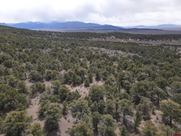 a view of a mountain in the distance in a field