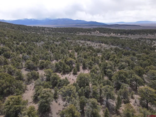 a view of a mountain in the distance in a field