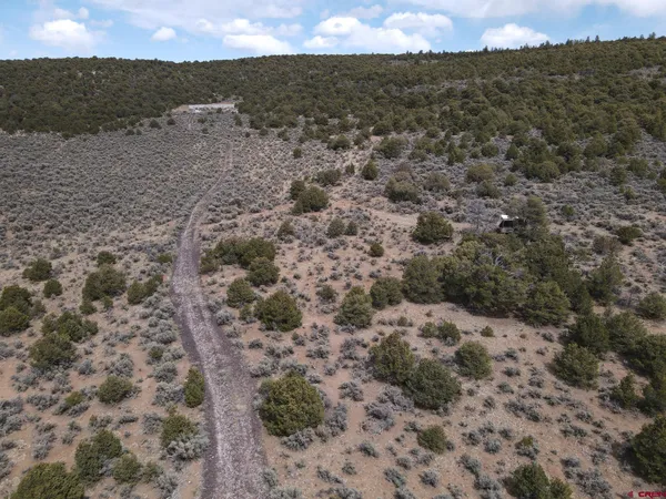 a view of a dry yard