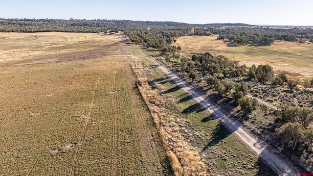 a view of an ocean and beach