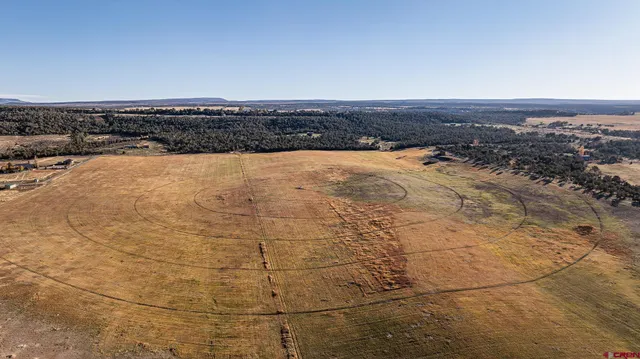 an aerial view of a building