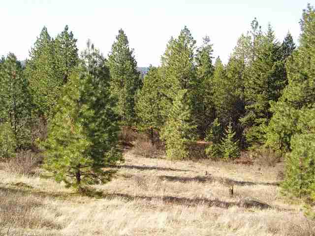 Xx Eistrup Road Elk, WA 99009 - Photo 1 of 3