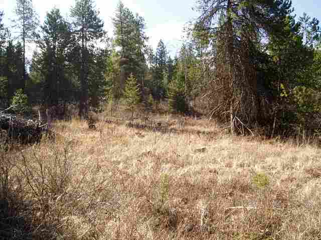 Xx Eistrup Road Elk, WA 99009 - Photo 2 of 3