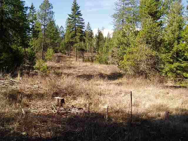 Xx Eistrup Road Elk, WA 99009 - Photo 3 of 3