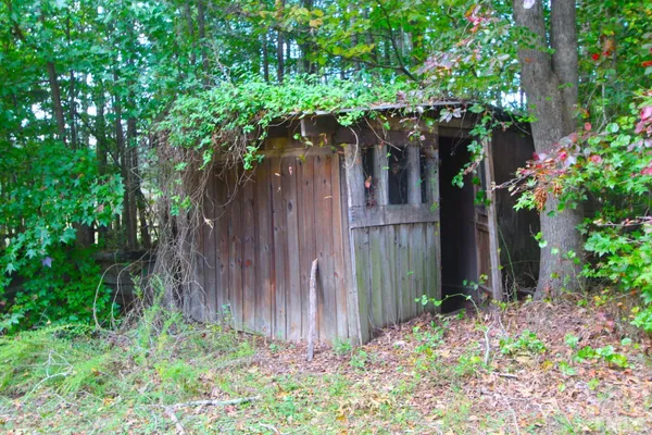 a house with a tree in the yard