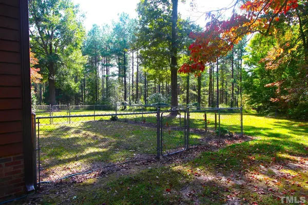 a view of a park with large trees