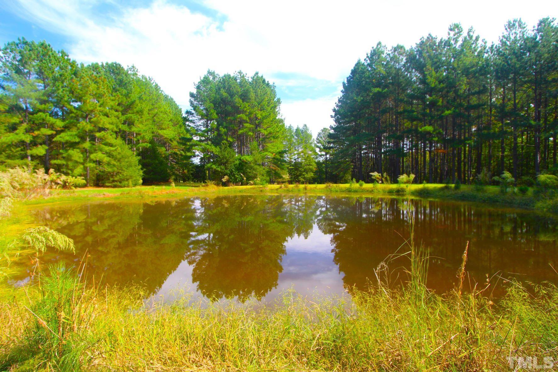 4161 Range Road Stem, NC 27581 - Photo 38 of 43 a view of an ocean view