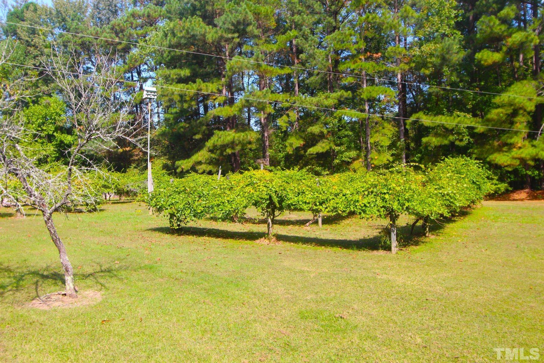 4161 Range Road Stem, NC 27581 - Photo 41 of 43 a view of an ocean view