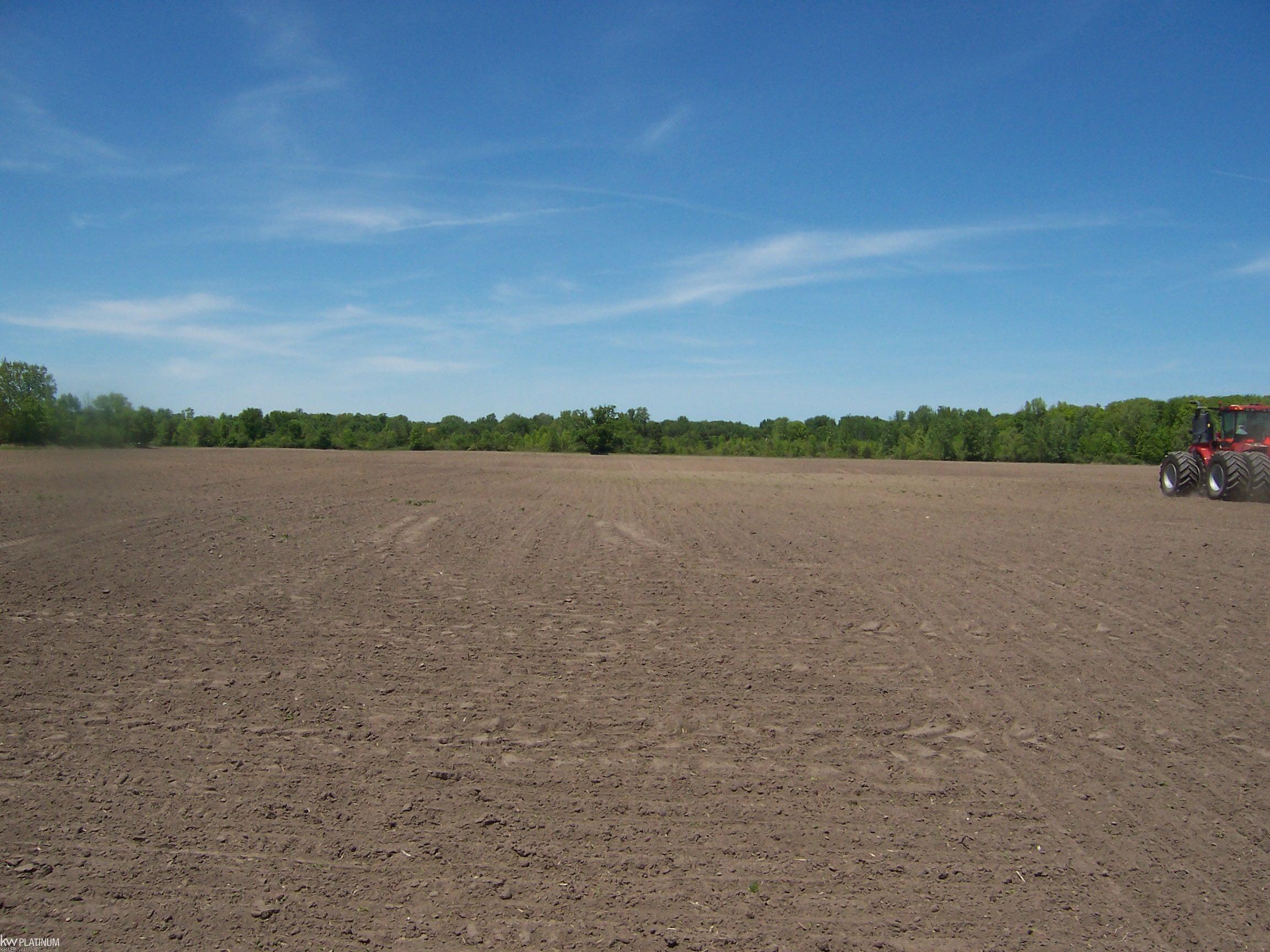 Lot 5 Lapeer Road Smiths Creek, MI 48074 - Photo 2 of 2