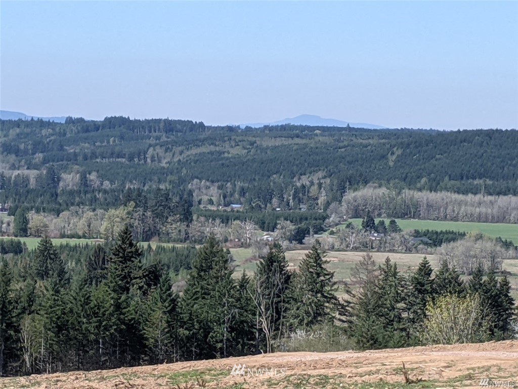 0 Senn Road Chehalis, WA 98532 - Photo 1 of 9 a view of a city and mountain view