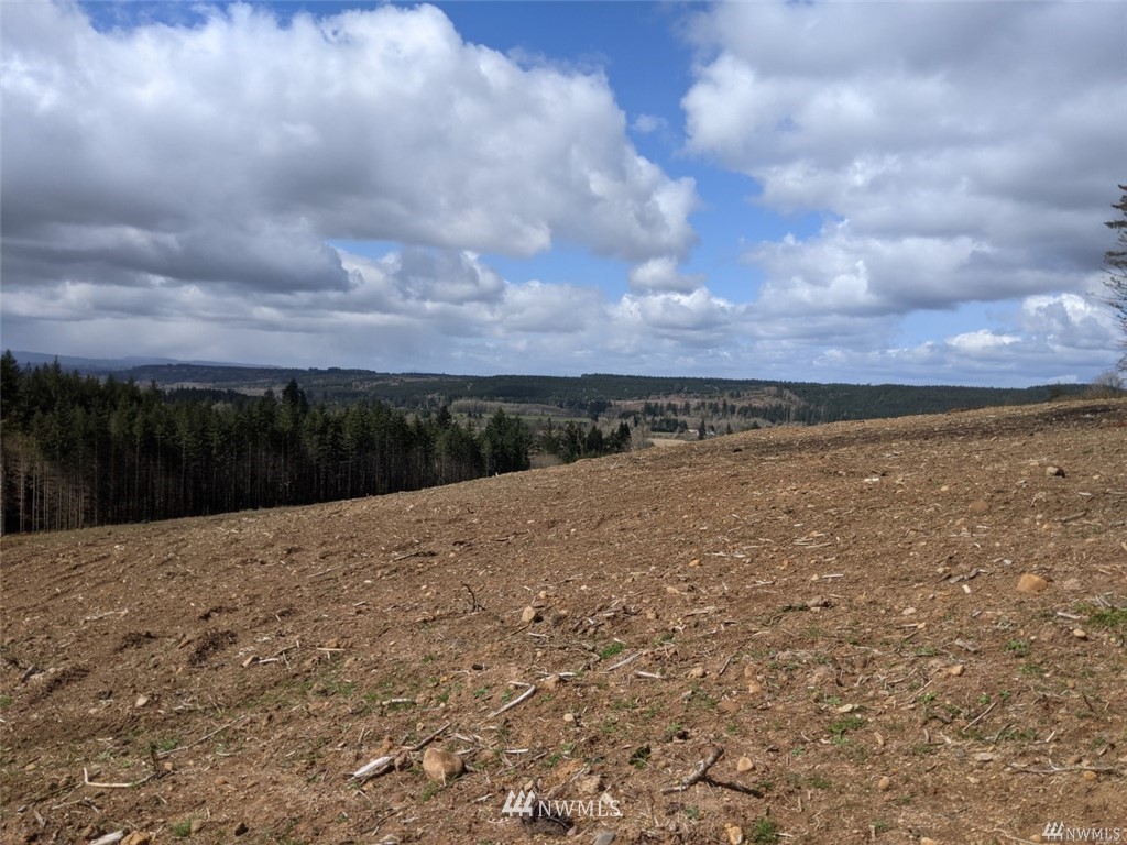 0 Senn Road Chehalis, WA 98532 - Photo 2 of 9