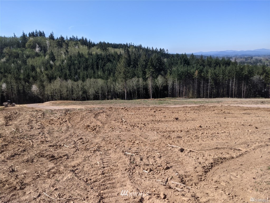 0 Senn Road Chehalis, WA 98532 - Photo 3 of 9 a view of a dry yard with a large tree