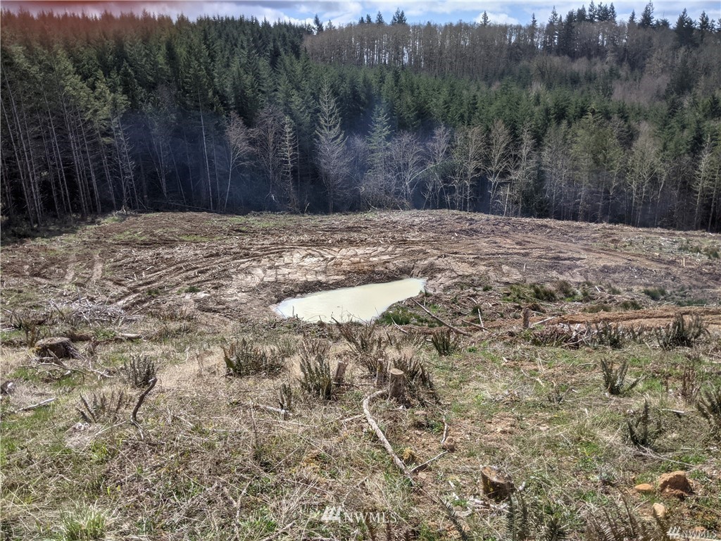 0 Senn Road Chehalis, WA 98532 - Photo 5 of 9 a view of wooden fence