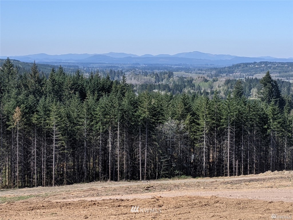 0 Senn Road Chehalis, WA 98532 - Photo 6 of 9 a view of a yard next to a road